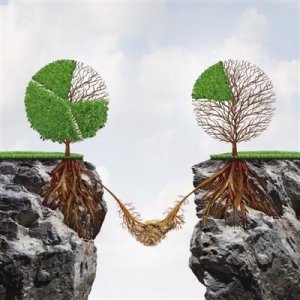 田源的老婆,田源怎么了