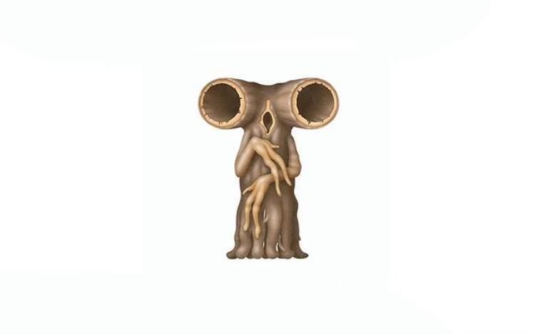 诡异的英文字母设计图,用英文字母设计的图案