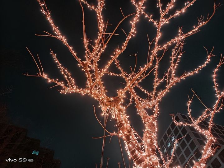 vivos9手机参数配置(拔高硬件性能手机全面评测)