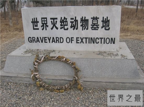 最令人抓狂的十大科学发现,这些你都知道吗?