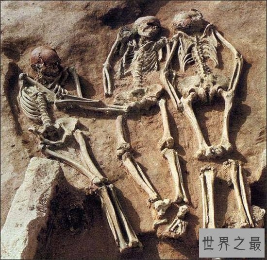 最令人抓狂的十大科学发现,这些你都知道吗?