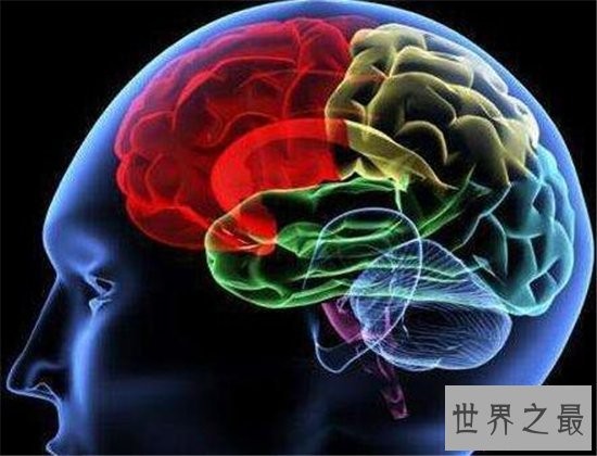 最令人抓狂的十大科学发现,这些你都知道吗?