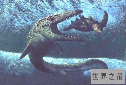 史前十大海洋霸主,第一可以一口吞下20吨食物
