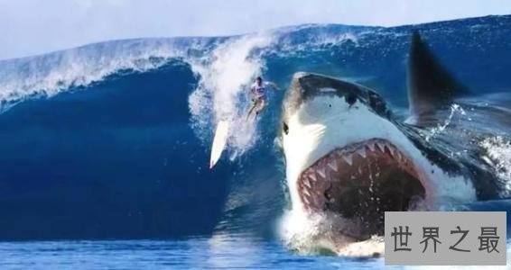 史前十大海洋霸主,第一可以一口吞下20吨食物