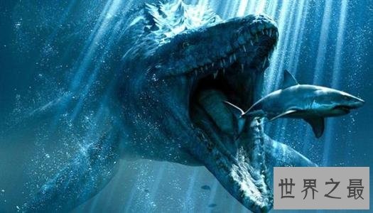 史前十大海洋霸主,第一可以一口吞下20吨食物