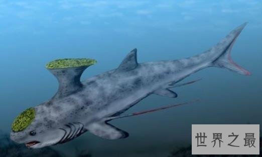 史前十大海洋霸主,第一可以一口吞下20吨食物