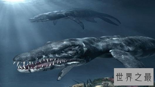 史前十大海洋霸主,第一可以一口吞下20吨食物