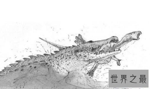史前十大海洋霸主,第一可以一口吞下20吨食物