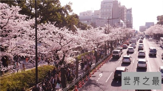 世界上最适合骑自行车的10个城市,阿姆斯特丹自行车比平民还多!