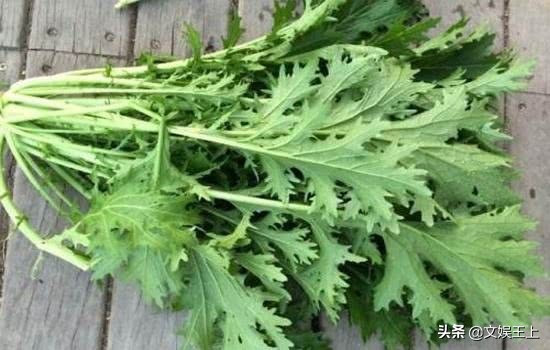 雪里红饺子的做法大全(雪里红饺子美食教程分享)