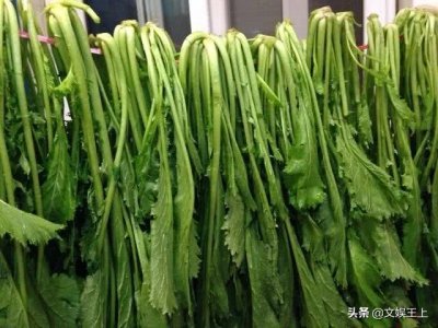 雪里红饺子的做法大全(雪里红饺子美食教程分享)