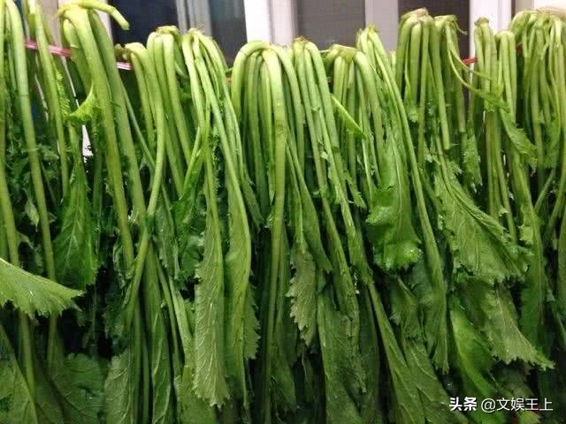 雪里红饺子的做法大全(雪里红饺子美食教程分享)