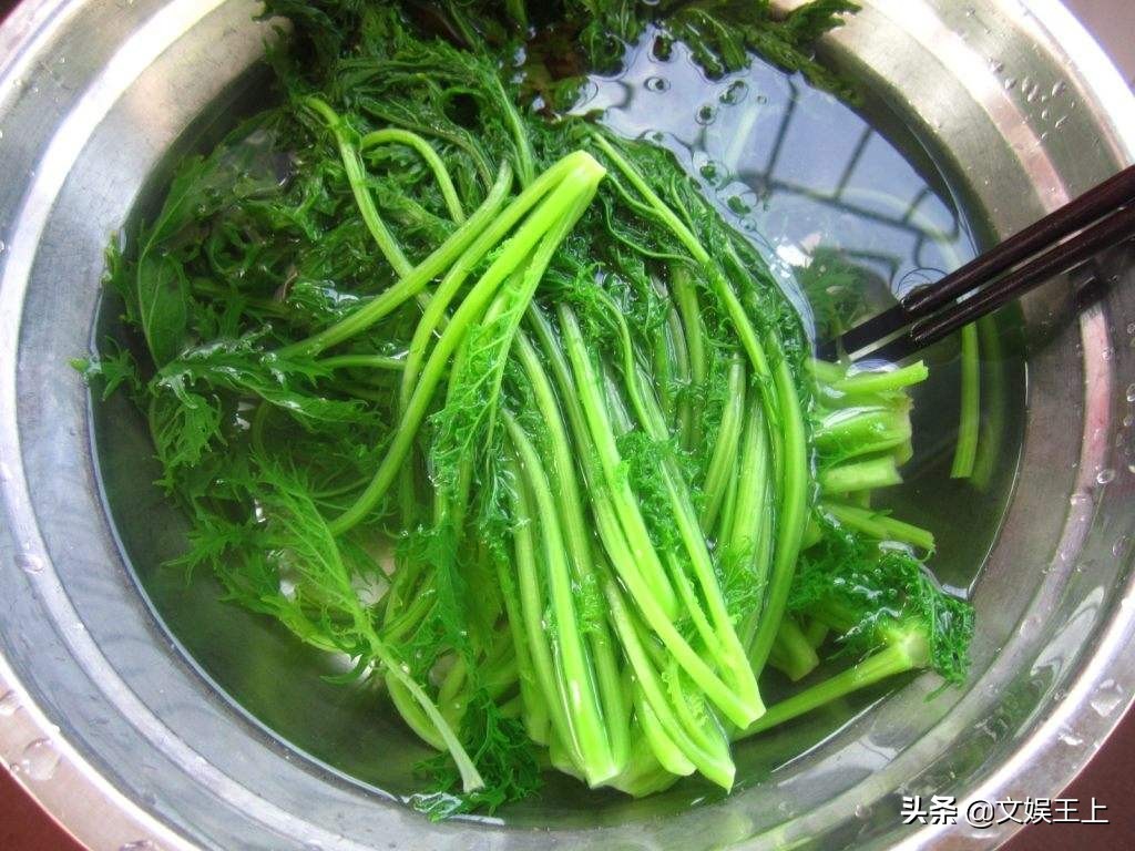 雪里红饺子的做法大全(雪里红饺子美食教程分享)