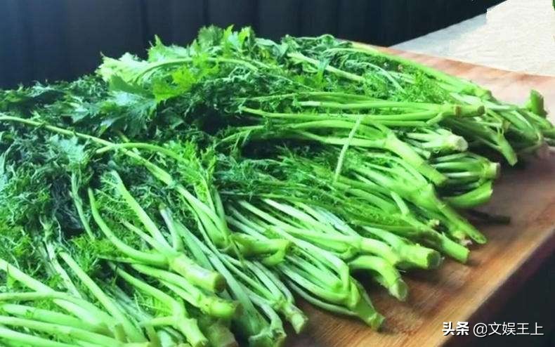 雪里红饺子的做法大全(雪里红饺子美食教程分享)