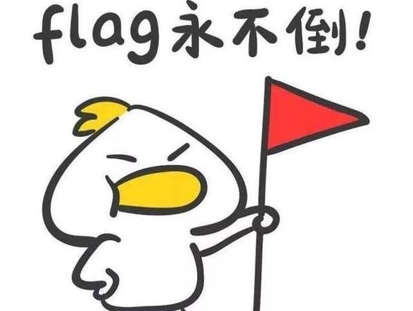 网上老说的Flag是什么意思