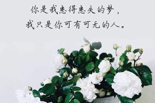 抖音你是我患得患失的梦是什么歌 名字叫做《写给黄淮》