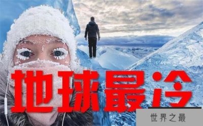 ​经历了冰火两重天的考验 企鹅成了世界上最抗寒的鸟类