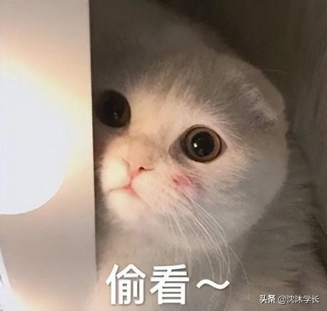 四级分数是实际分数吗(四级分数多少算高分)(1)