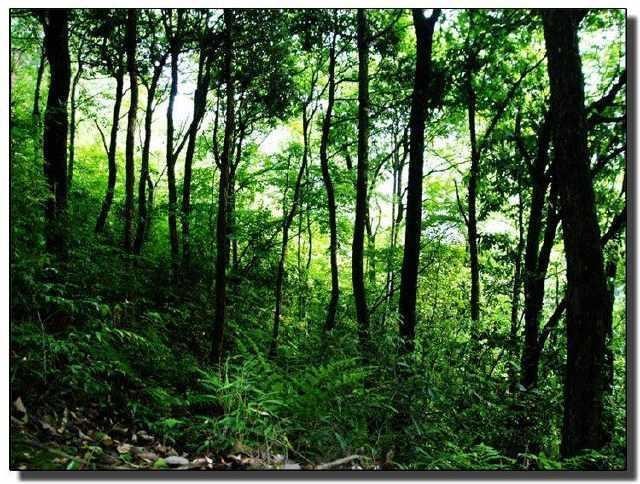 打卡风景很美的地区,广州增城白水寨、保定百里峡自然也在其中