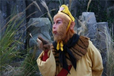 ​孙悟空的6个兄弟哪去了 孙悟空为什么和这六个兄弟结拜