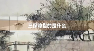三保障指的是什么