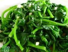 穿心莲的营养价值_穿心莲的功效与作用及食用方法 穿心莲的营养价值_穿心莲的功效与作用及食用方法