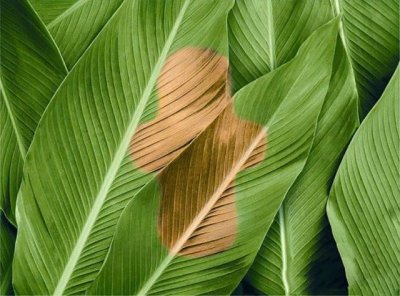 ​为什么不建议用卫生护垫（卫生护垫护垫多久换一次）