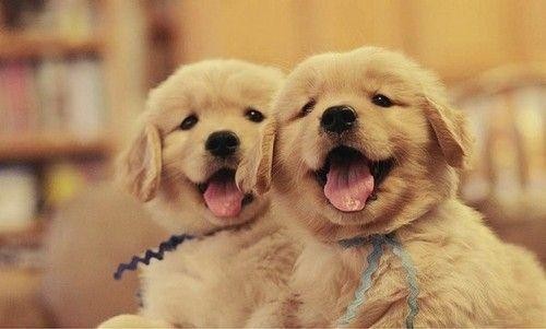 笑话段子:结婚七年叫铜婚,为什么叫铜婚呢?