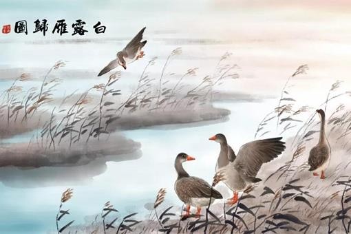 我国古代曾以哪种鸟类作为婚娶时的聘礼