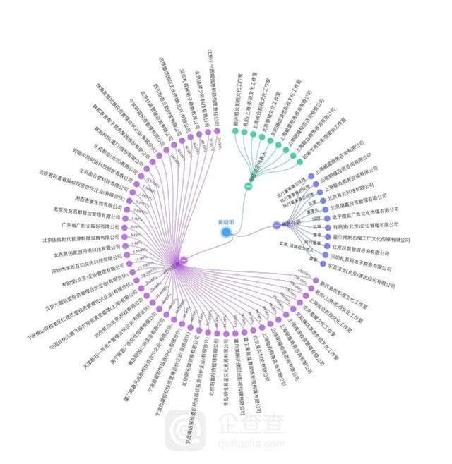 黄晓明为什么那么有钱身价资产多少亿?黄晓明有多少公司商业版图