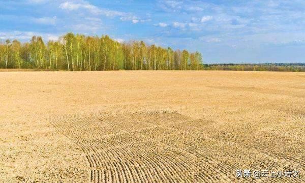 我国最早的铁器出现在什么时期(铁器什么时候出现)