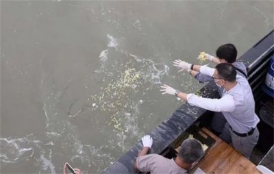 海葬的好处和坏处 海葬是否可行
