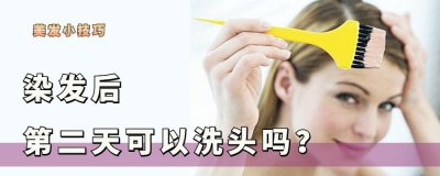 染发第二天就洗头了影响大吗(染完头发的隔天可以冲洗吗)