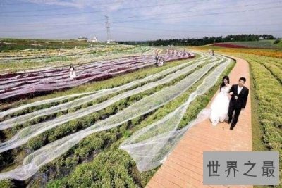 ​世界上最长的婚纱，4100米(震撼却没卵用)