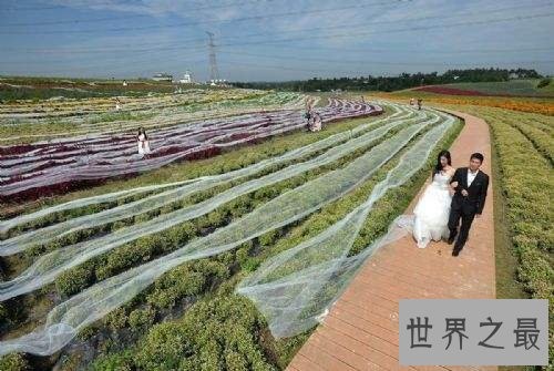 世界上最长的婚纱,4100米(震撼却没卵用)