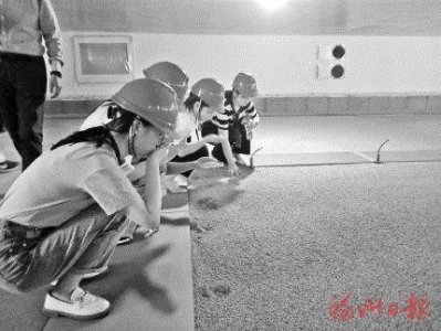 ​走进“大国粮仓”，了解粮食安全——福建省最大中央储备粮库迎来公众开放日