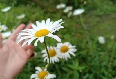 女方提出离婚,女方出轨了,法院怎么办