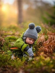 糠是什么(糠是什么字)