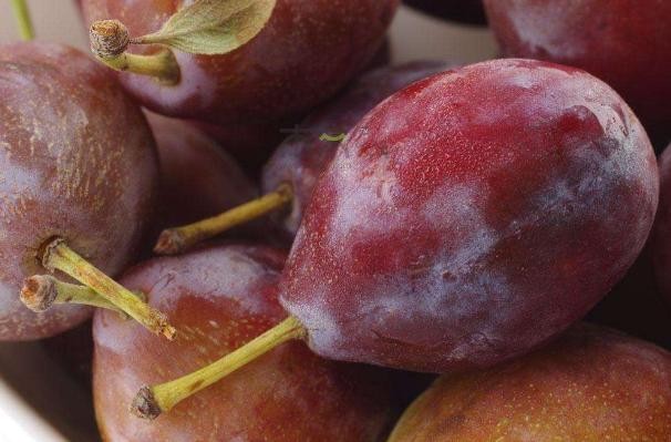 怎么选择好的西梅（不能只会挑颜色）(5)