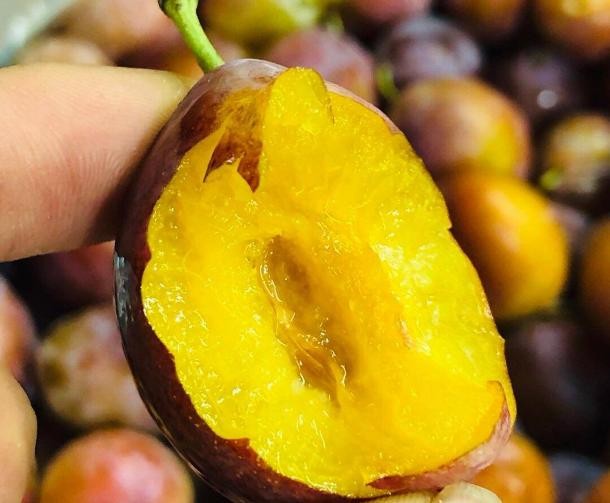 怎么选择好的西梅（不能只会挑颜色）(7)