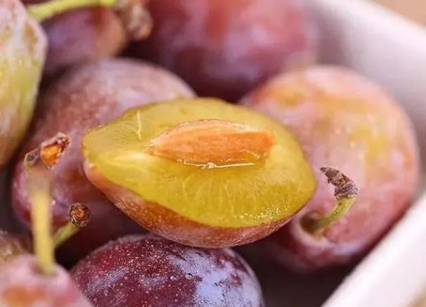 怎么选择好的西梅（不能只会挑颜色）(6)