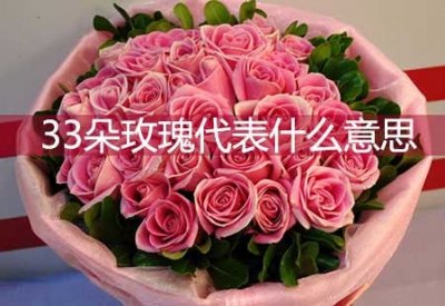 ​33朵玫瑰代表什么意思(33朵玫瑰花的含义)