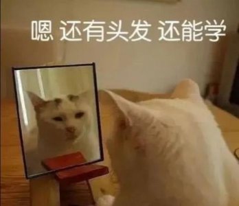 每天不知道跟女朋友聊什么,不知道跟女生聊什么