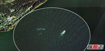 ​盘点震惊世界的不明生物 墙壁惊现两娇小外星人影子