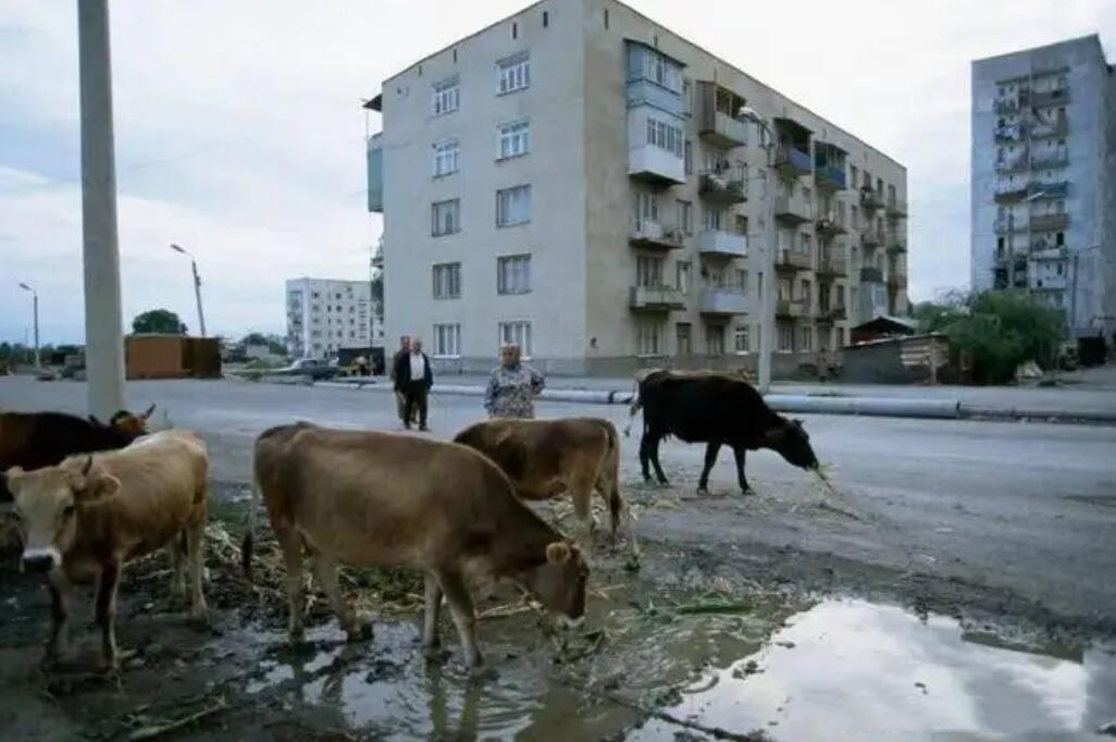 南奥塞梯有多少人口（南奥塞梯人口和面积）