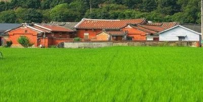 农村有什么挣钱商机(农村有什么商机可以赚钱)