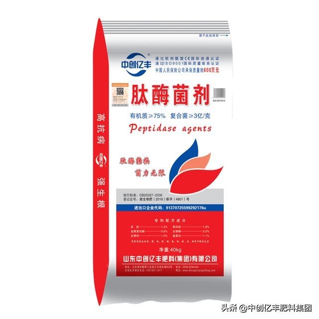 天竺葵花语是什么(天兰葵的含义及养殖方法介绍)