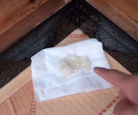 还在买老鼠药消灭老鼠吗?教你自制老鼠药,方法简单效果好!