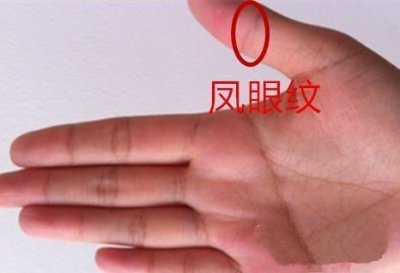 凤眼纹手相的女人,旺夫益子,善良又贤惠,娶到就是福气