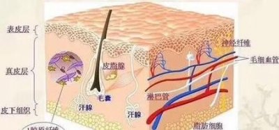冬天多久去一次角质比较好(油皮多久去一次角质好)
